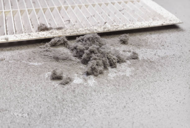 Best Duct Cleaning for Homes  in Canterwood, WA